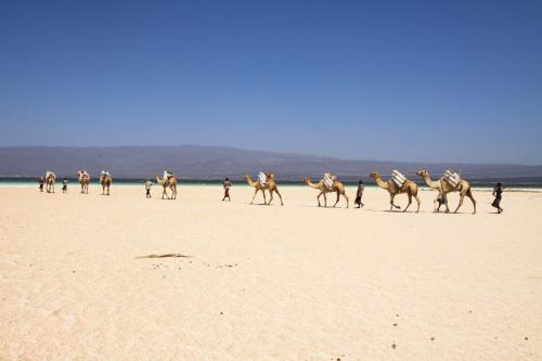 Lac Assal